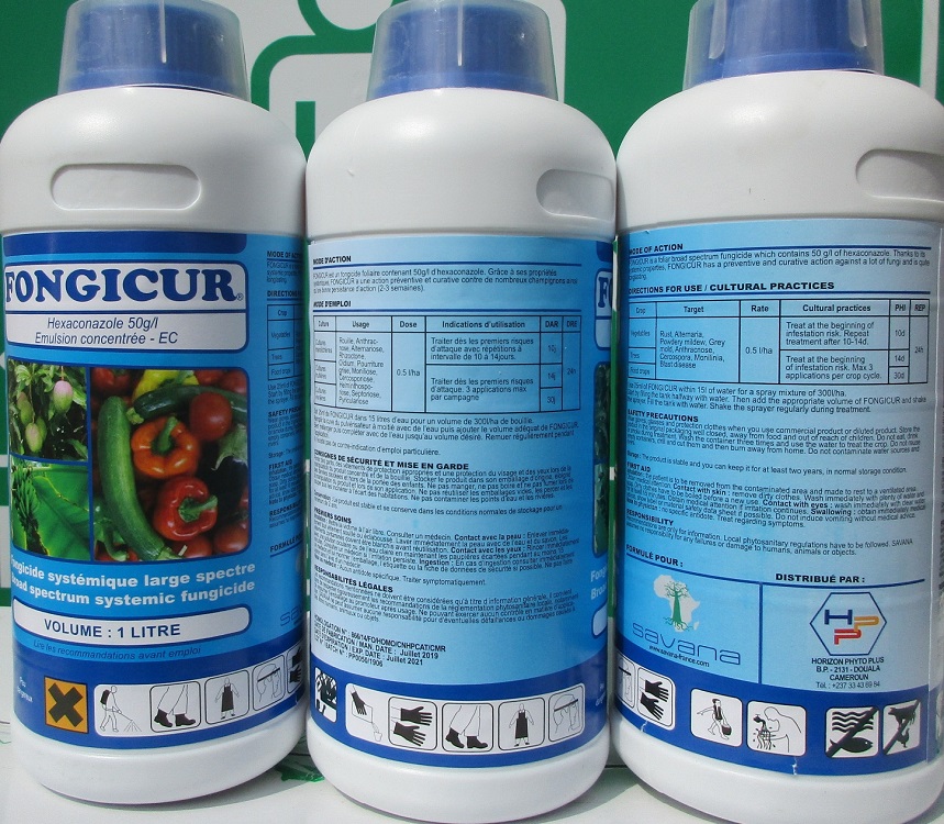 Ecopur Carboguard fongicide pour plantes ornementales - Fongicide contre  les maladies fongiques Contrôle et prévient les maladies fongiques de  manière naturelle