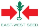logo EAST WEST SEED 90